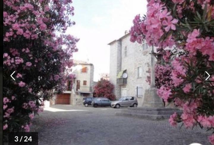 Ruoms Petite Maison 3* Centre-Village 外观 照片